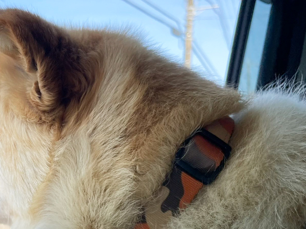 自転車ですれ違った男子中学生　突然叫んだ理由が？「うわ本当だ」「分かるぞ少年」