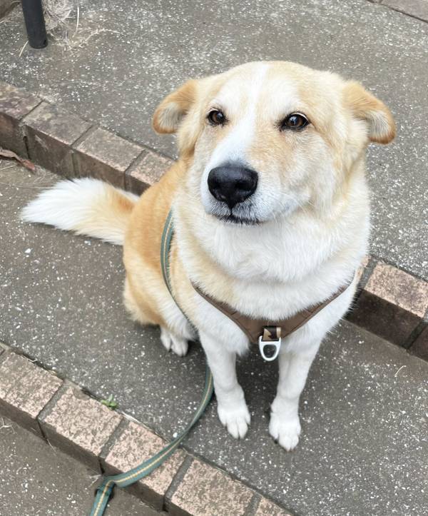 自転車ですれ違った男子中学生　突然叫んだ理由が？「うわ本当だ」「分かるぞ少年」