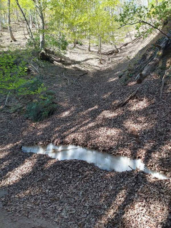 山中に落ちていた物に『９万人』が注目！　「三度見した」「初めて見たわ」