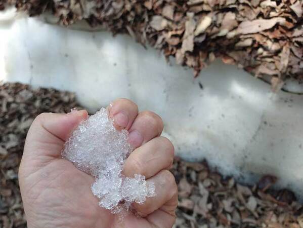 山中に落ちていた物に『９万人』が注目！　「三度見した」「初めて見たわ」