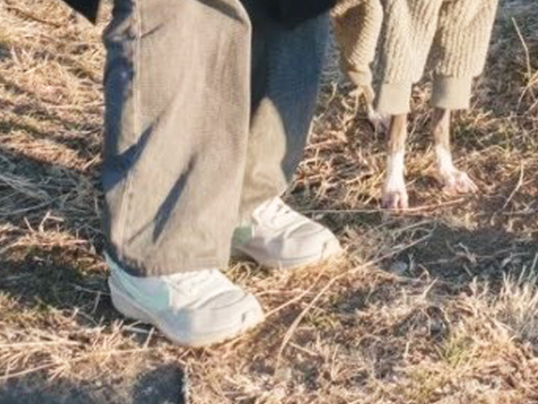 飼い主「防寒させてるだけなのに…」　犬の姿が？「そりゃガン見るする」「思わず拝んだ」