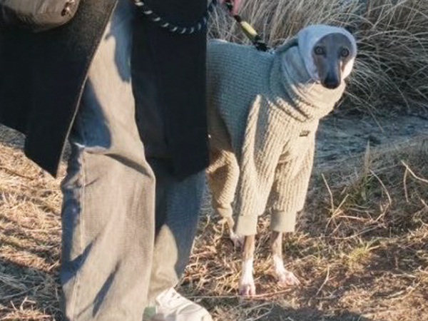 飼い主「防寒させてるだけなのに…」　犬の姿が？「そりゃガン見るする」「思わず拝んだ」