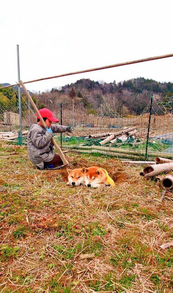 「徳川埋蔵金を掘り当てちゃった」　息子が掘った穴の中に…『お宝』の正体がこちら！