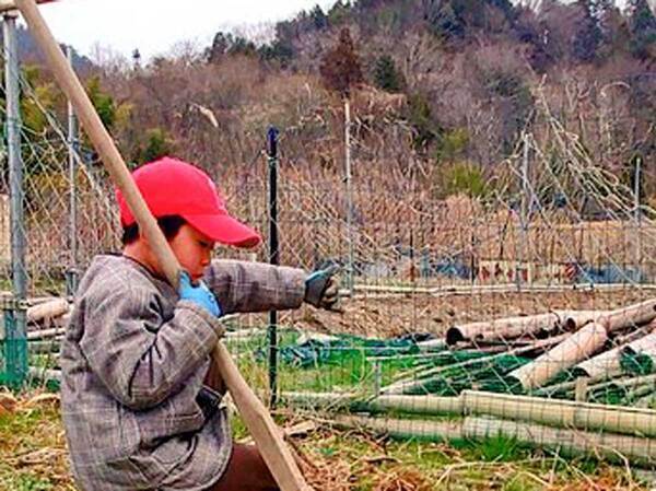 「徳川埋蔵金を掘り当てちゃった」　息子が掘った穴の中に…『お宝』の正体がこちら！