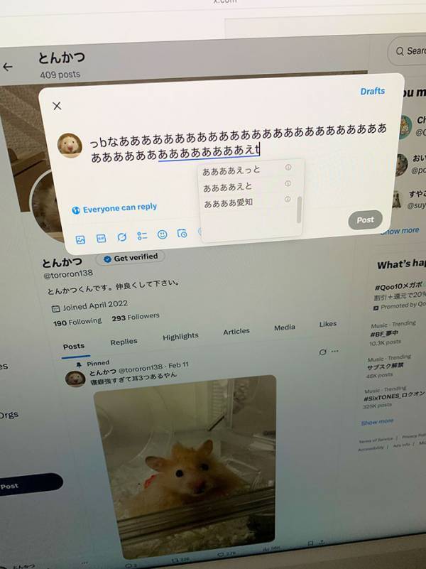 キーボードの上にいるハムスター　何をしているかと思ったら…「天才か？」「この写真好きすぎる」