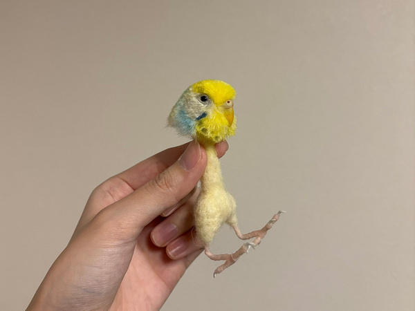 かわいい『インコ』の１枚、と思いきや…　ネットで驚きの声が上がったワケ