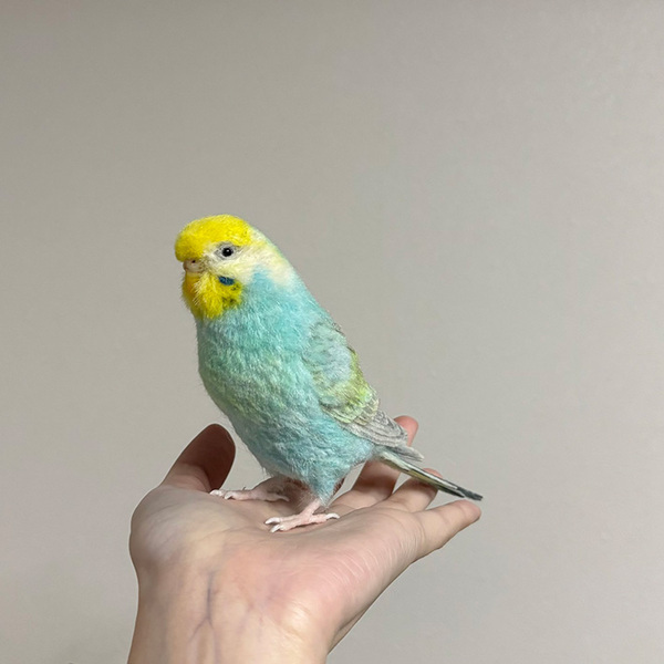 かわいい『インコ』の１枚、と思いきや…　ネットで驚きの声が上がったワケ