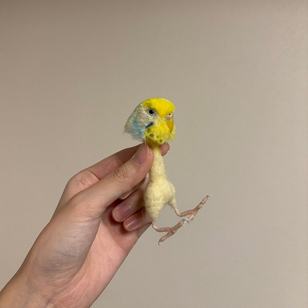 かわいい『インコ』の１枚、と思いきや…　ネットで驚きの声が上がったワケ