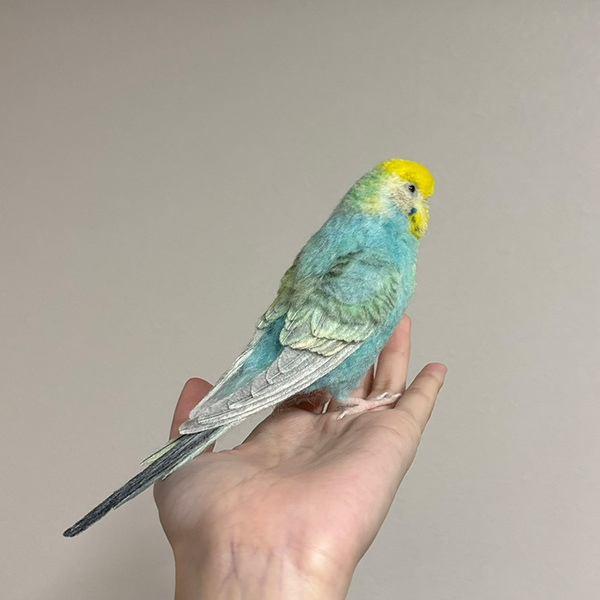 かわいい『インコ』の１枚、と思いきや…　ネットで驚きの声が上がったワケ