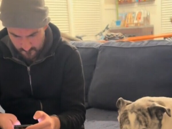 「縄張り意識の強いメス犬が…」　彼氏の家でデートをしていたら？「爆笑した」