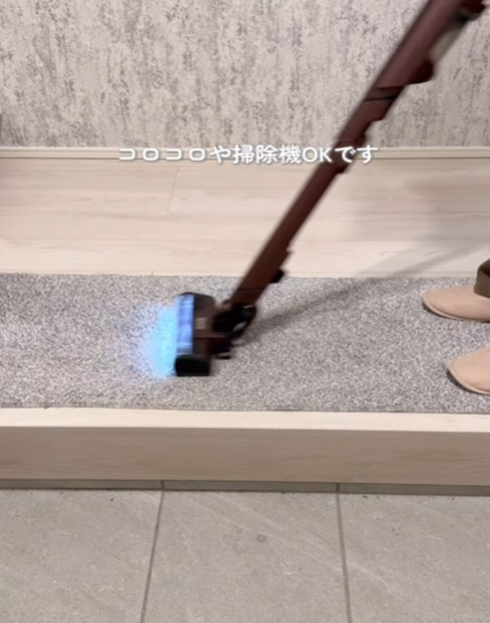 掃除機じゃなかったの？　花粉対策に「今までの苦労は」「絶対やる」