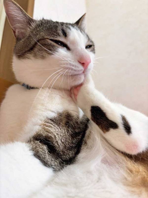 怖い動画から目をそらした女性　振り返ると…「悟りを開いてる」「笑った」