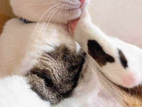 怖い動画から目をそらした女性　振り返ると…「悟りを開いてる」「笑った」