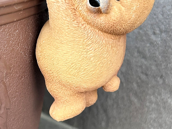 「クセ大暴走しているクマが出没」　義母の粋な計らいに６万人が感動！