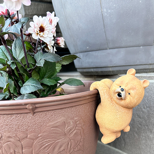 「クセ大暴走しているクマが出没」　義母の粋な計らいに６万人が感動！