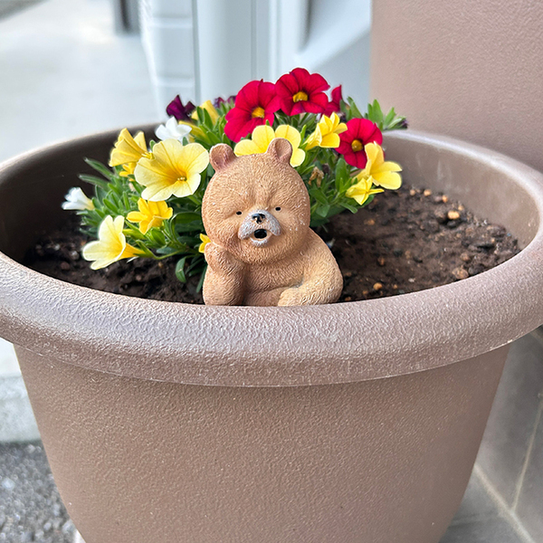 「クセ大暴走しているクマが出没」　義母の粋な計らいに６万人が感動！