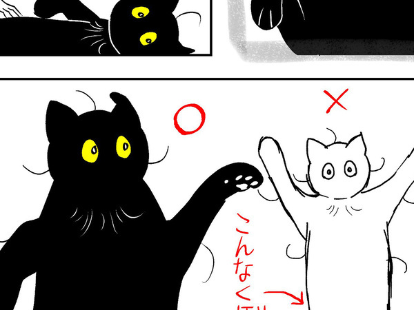 愛猫のお腹を『想像』で描いていたけど…　続く展開に「笑っちゃった」「尊いです」