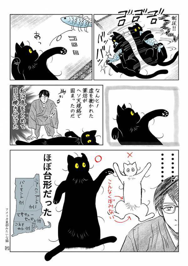 愛猫のお腹を『想像』で描いていたけど…　続く展開に「笑っちゃった」「尊いです」