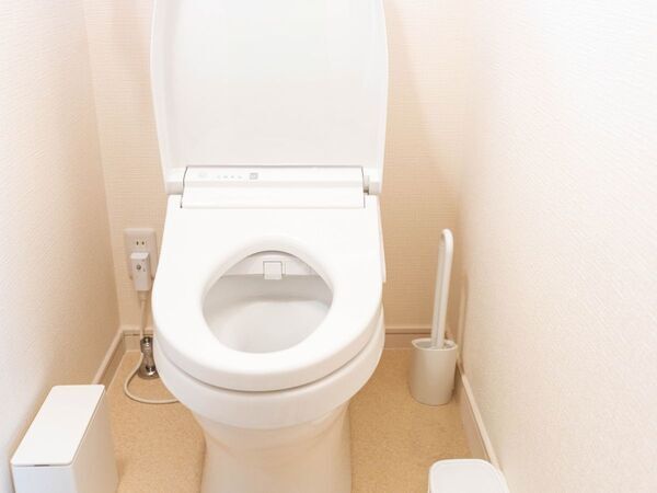 使ってたらすぐやめて！　トイレ掃除で使ってはいけない洗剤に「知れてよかった」