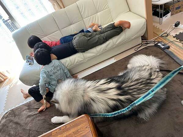 遊んでいる子供たちの横を見ると…　脳がバグる１枚に「すっごい存在感」