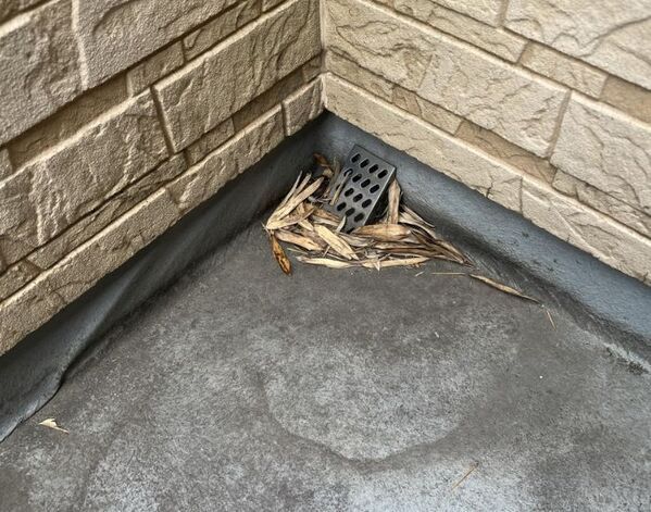 雨天時の悲劇を防ぐ！　ベランダやバルコニー排水口の掃除テクニック