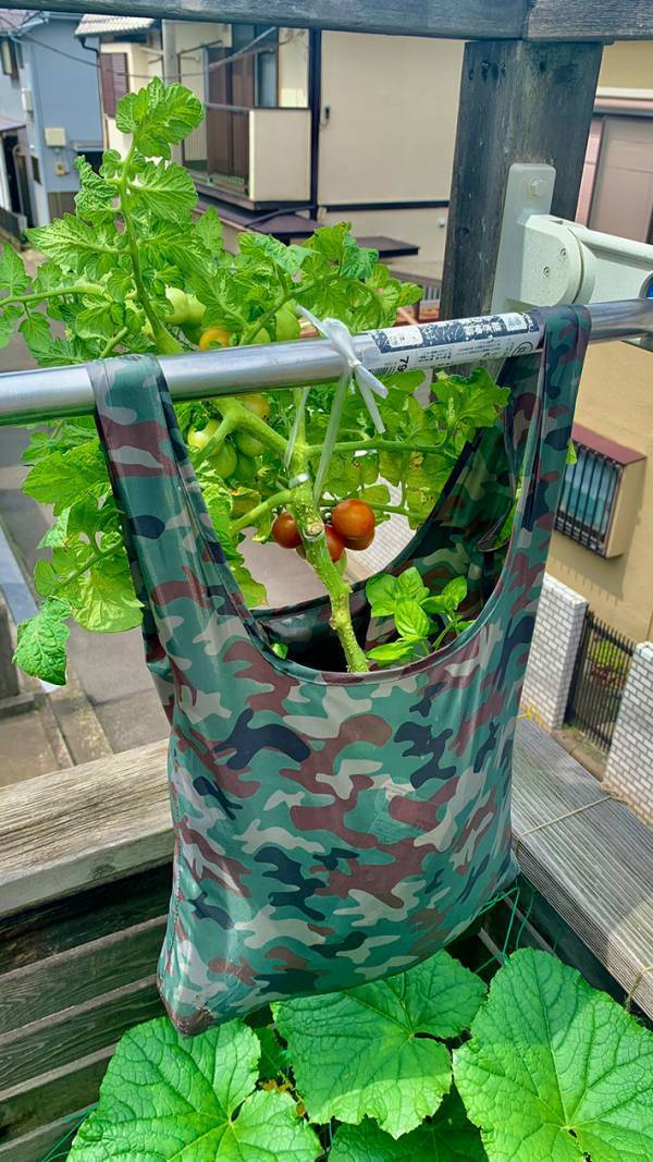 ダイソーで買ったエコバッグ　『意外』な使い道に「その手があったか！」