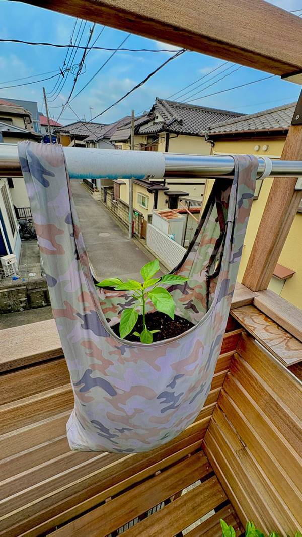 ダイソーで買ったエコバッグ　『意外』な使い道に「その手があったか！」