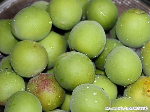 「絶対にやめて」　梅仕事の際に気を付けたいことは？「うっかりしていた」