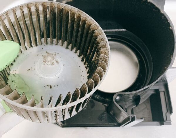 換気扇の奥に潜むカビを一掃！　お風呂の埃と湿気を撃退する方法