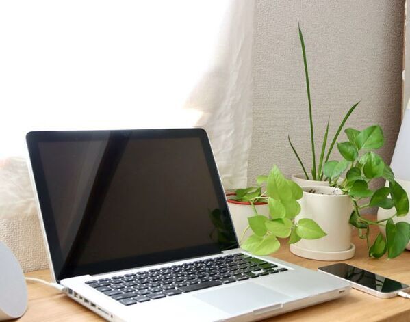 初心者でもできる！　意外と知らないパソコンの正しい掃除方法とは