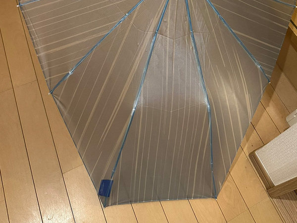 デザイン性バツグンの折りたたみ傘　広げると？「さすがに興奮した」「５０代でも欲しい」