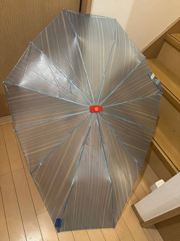 デザイン性バツグンの折りたたみ傘　広げると？「さすがに興奮した」「５０代でも欲しい」