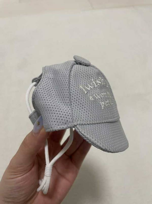 飼い主「思ってたのと違う…」　ペット用帽子を被せたら？「声出して笑った」