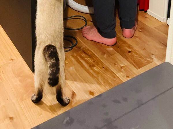 四十肩のためストレッチをする夫　妻のテンションが上がった瞬間に「かわいい」の声