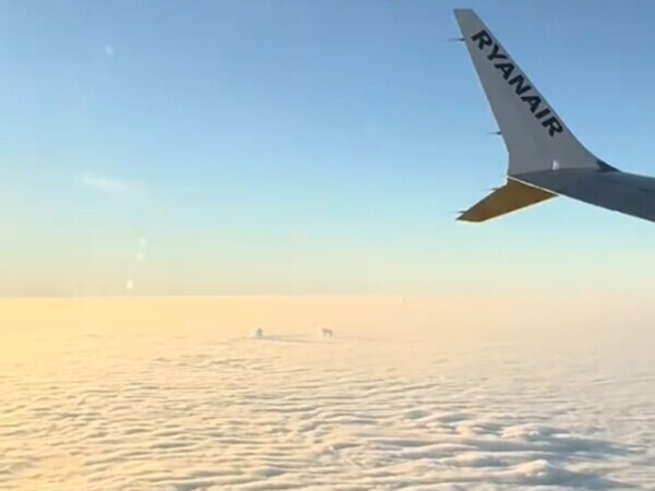 「愛犬が犬の楽園にいるのを見た」　飛行機の窓から見えたのは…「号泣した」