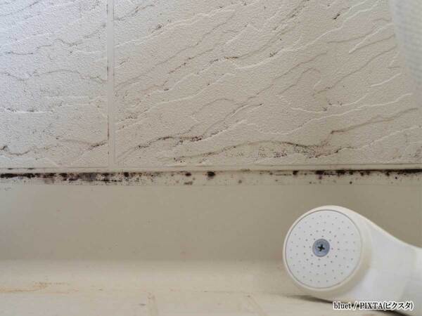 風呂カビの『撃退法』に驚きの声が続出　「こんな簡単でいいの？」「すぐやる」