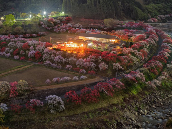 現実とは思えない…　天の川の『下』を見ると？「これこそユートピア」「神々しい」