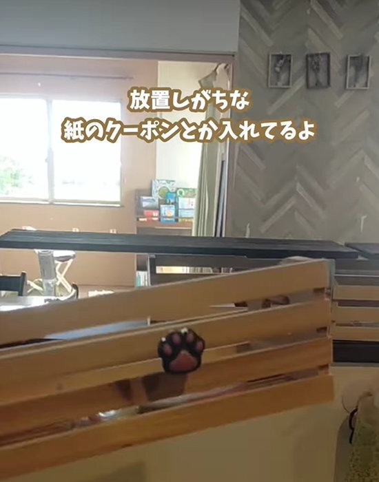 ごちゃ付き予防で収納力アップ！　キッチンカウンターの１００均DIYに「すごい」「天才的」