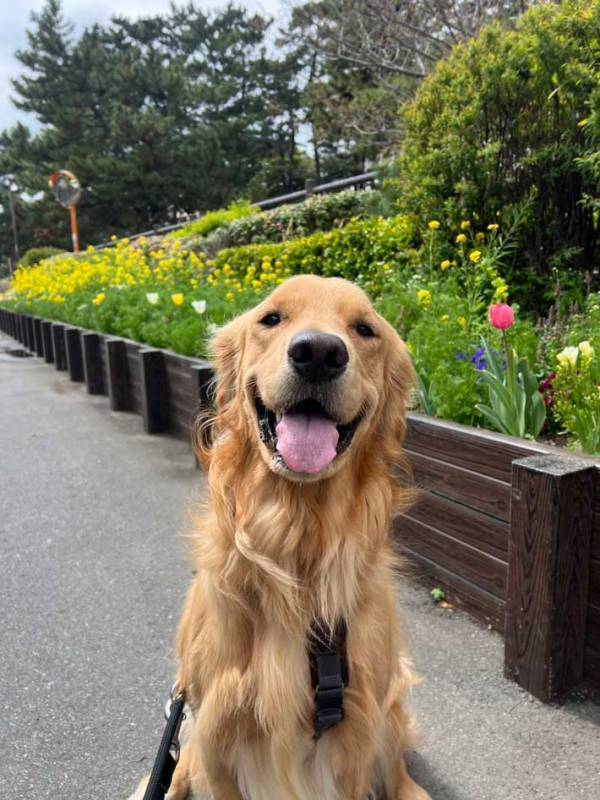 これは責められない…　映画を邪魔した『犯人』に「笑った」「最高です」