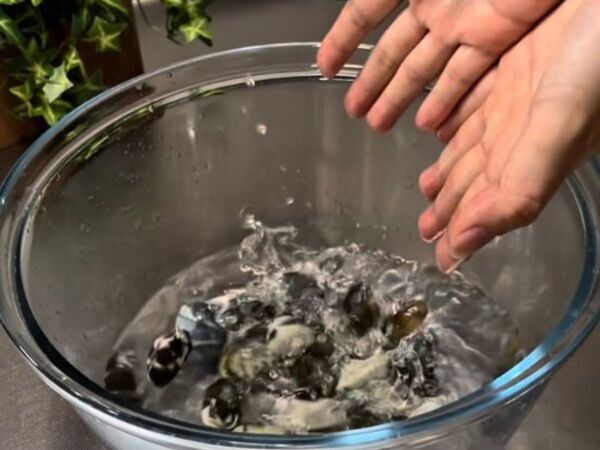 アサリの砂抜きに何時間かけてる？　時短技に「マジか」「一晩かけてた」