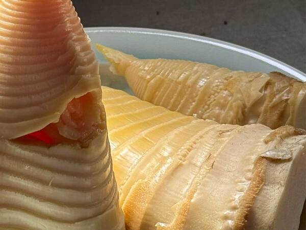 タケノコをもらった住職　むいてみると…「既視感ある」「どう見てもそれ」