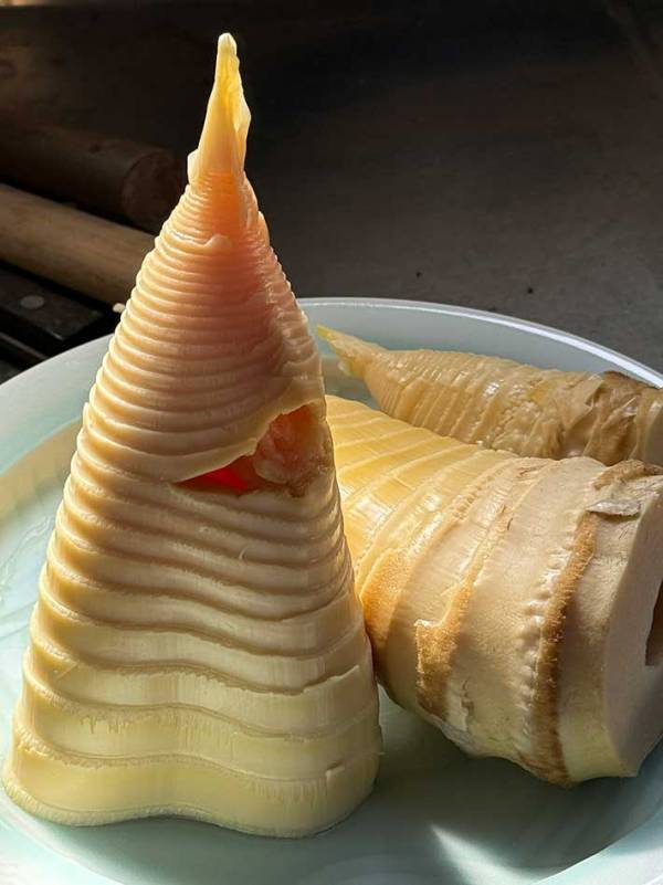 タケノコをもらった住職　むいてみると…「既視感ある」「どう見てもそれ」