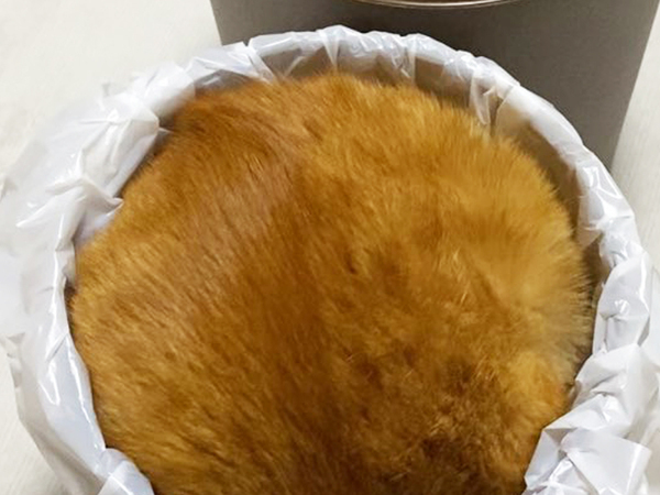 ゴミ箱を写した１枚に、４万人が困惑　中をみると…「これは幻覚？」「逆に見事」