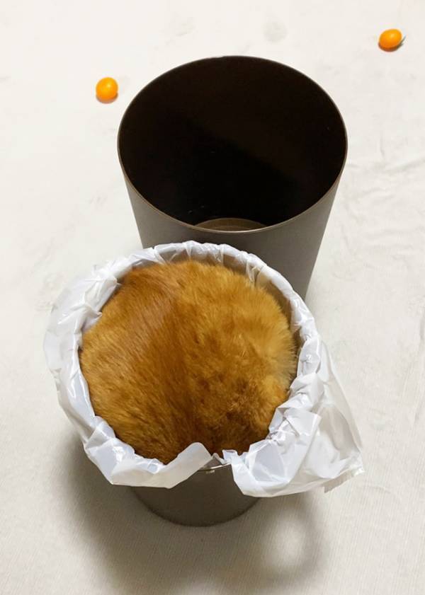 ゴミ箱を写した１枚に、４万人が困惑　中をみると…「これは幻覚？」「逆に見事」