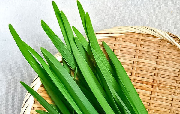 新鮮なニラ、左か右どっちでしょう？　JAが教える『正解』はこちら