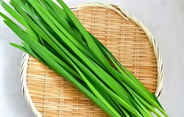 新鮮なニラ、左か右どっちでしょう？　JAが教える『正解』はこちら