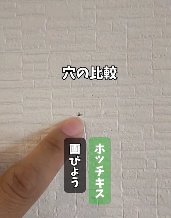 ホッチキスとクリアファイルで針穴が目立たない！　壁面活用DIYに「賃貸でも安心」