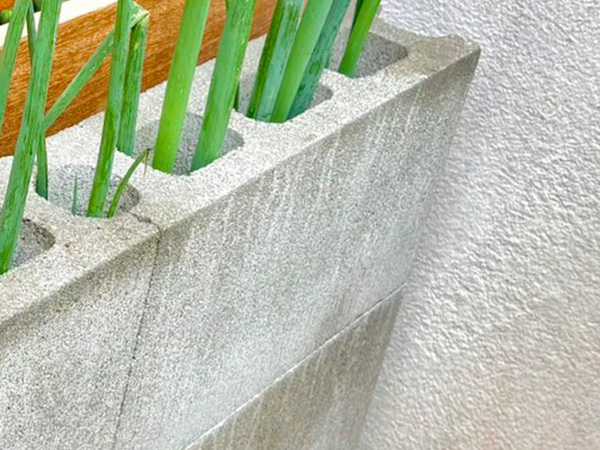 ベランダで長ネギを育てた結果…　約２週間の変化に「すげえ！」「結末が楽しみ」