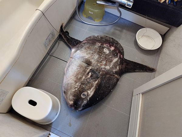 男性が風呂場で撮ったのは…　異様すぎる１枚に「え、まって」「夢に出てきそう」