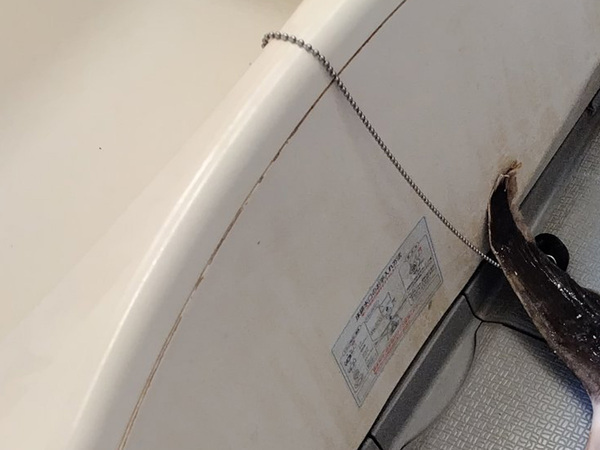 男性が風呂場で撮ったのは…　異様すぎる１枚に「え、まって」「夢に出てきそう」